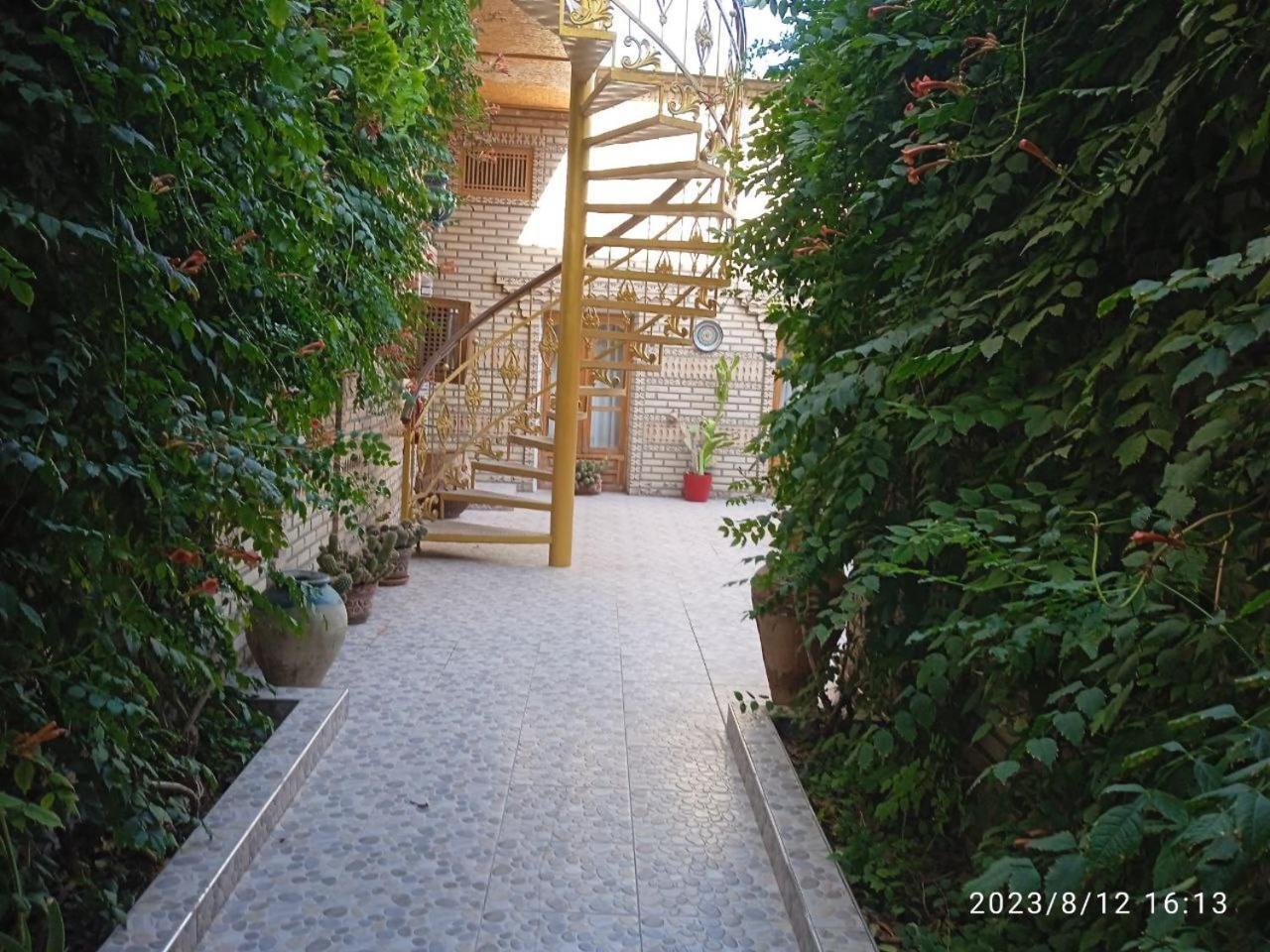 Sasha & Son Hotel Bukhara Exterior foto